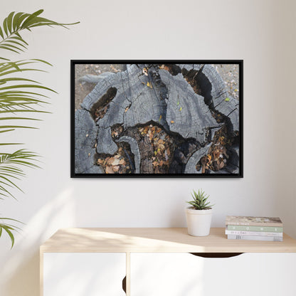 Time's Fractal Memory - Unique Stretched Canvas Wall Art - Art By Earth