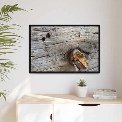 Weathered Wood Texture - Unique Stretched Canvas Wall Art - Art By Earth