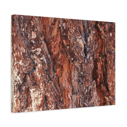 Rust and Ridges - Unique Frameless Canvas Wall Art