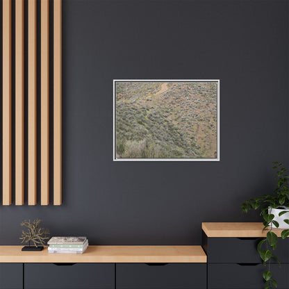 Arid Landscape with Winding Path - Unique Stretched Canvas Wall Art - Art By Earth