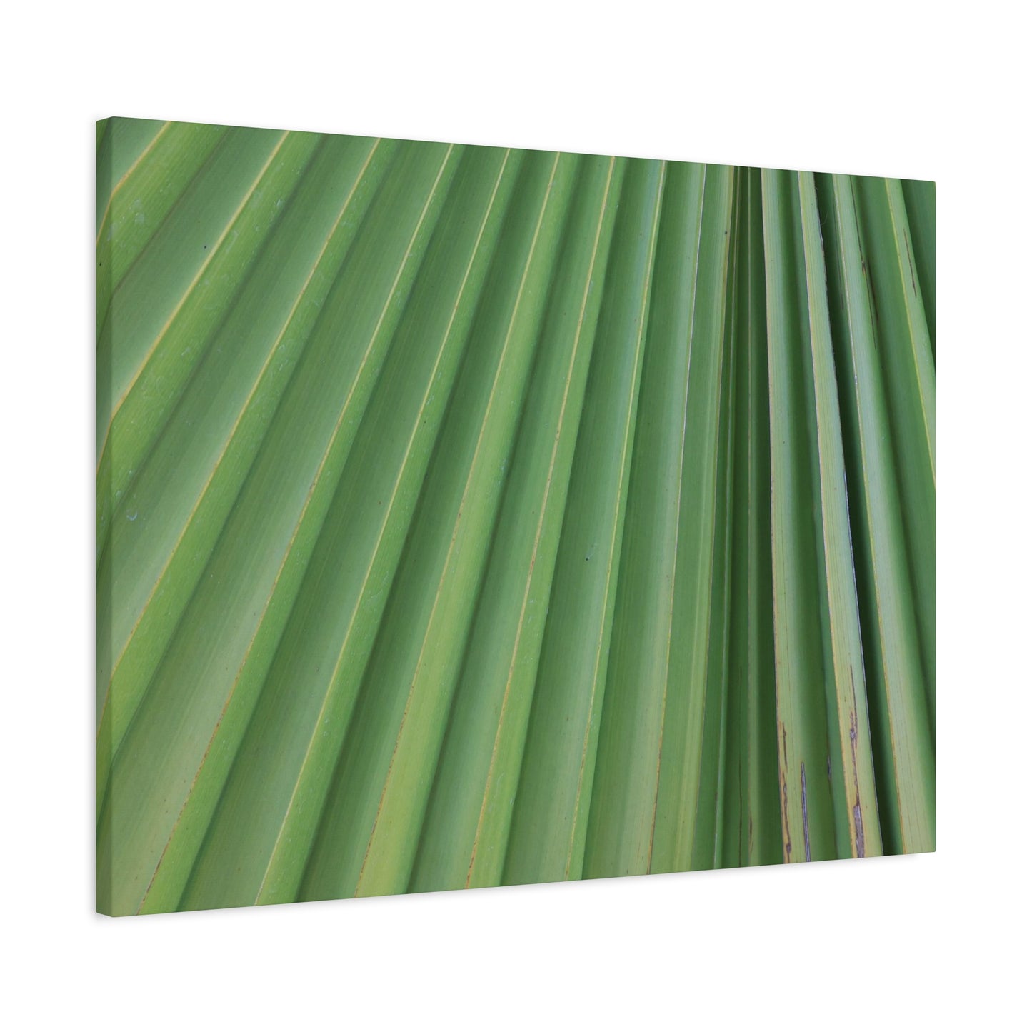 Palm Pulse - Unique Frameless Canvas Wall Art - Art By Earth