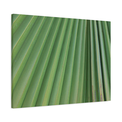 Palm Pulse - Unique Frameless Canvas Wall Art - Art By Earth