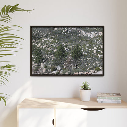 Rocky Hillside with Pine Trees - Unique Stretched Canvas Wall Art - Art By Earth