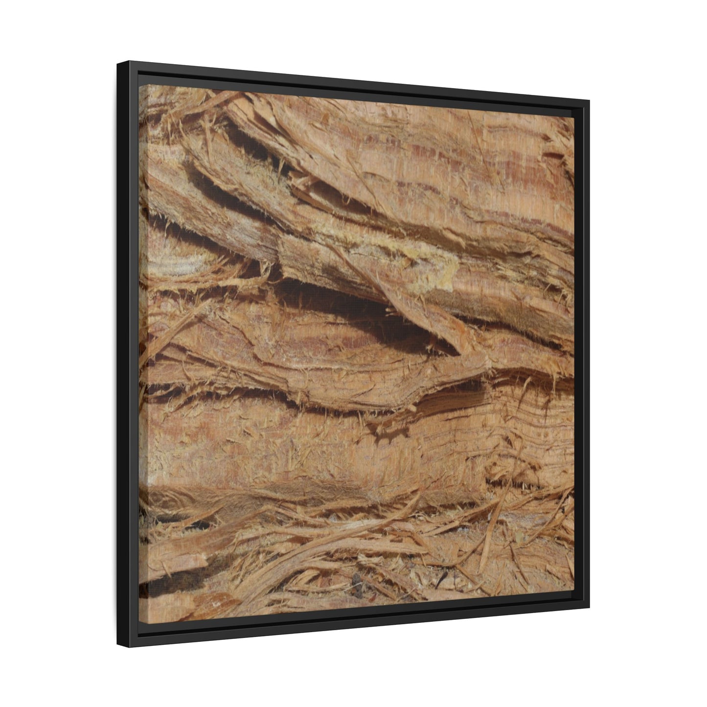 Splintered Bark - Unique Stretched Canvas Wall Art - Art By Earth