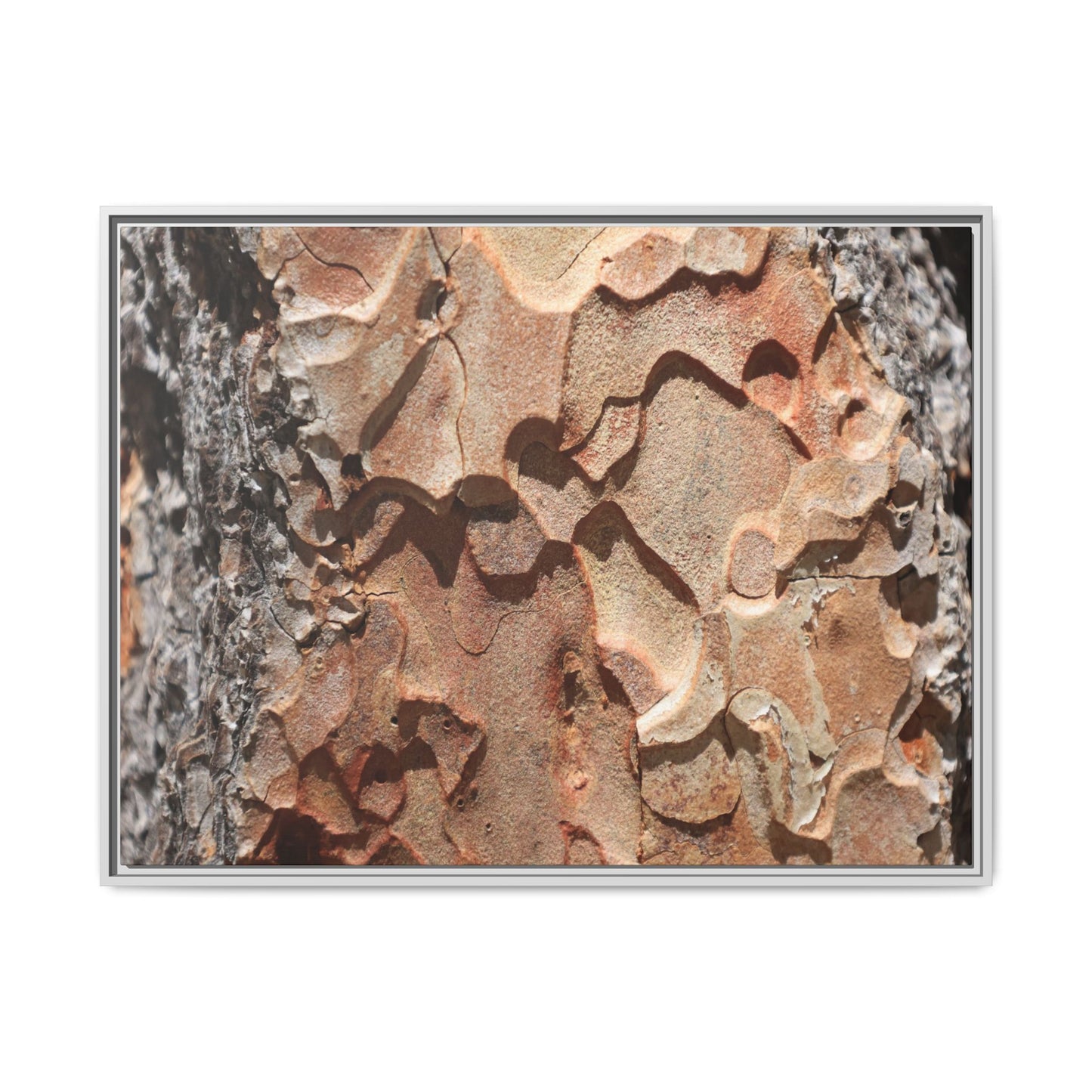 Rust and Stone - Unique Stretched Canvas Wall Art - Art By Earth
