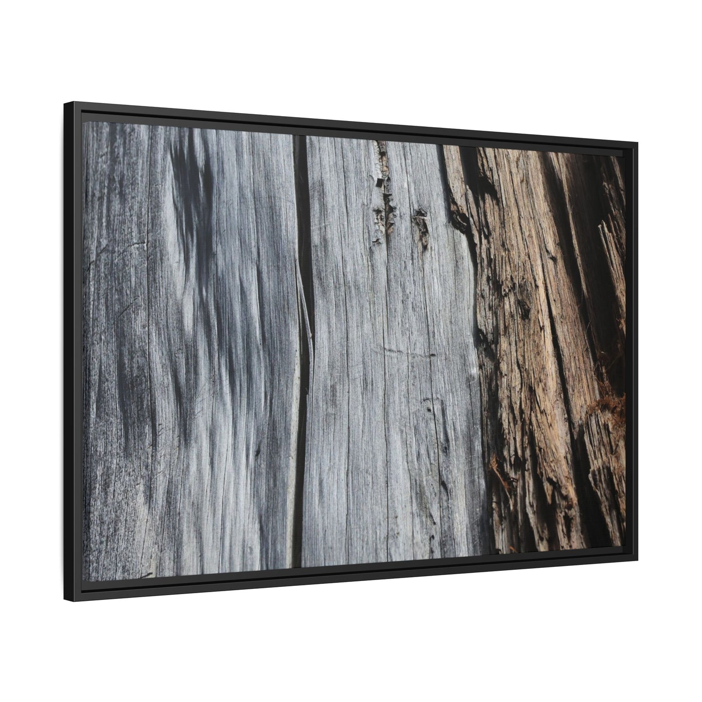 Wood's Lament - Unique Stretched Canvas Wall Art - Art By Earth