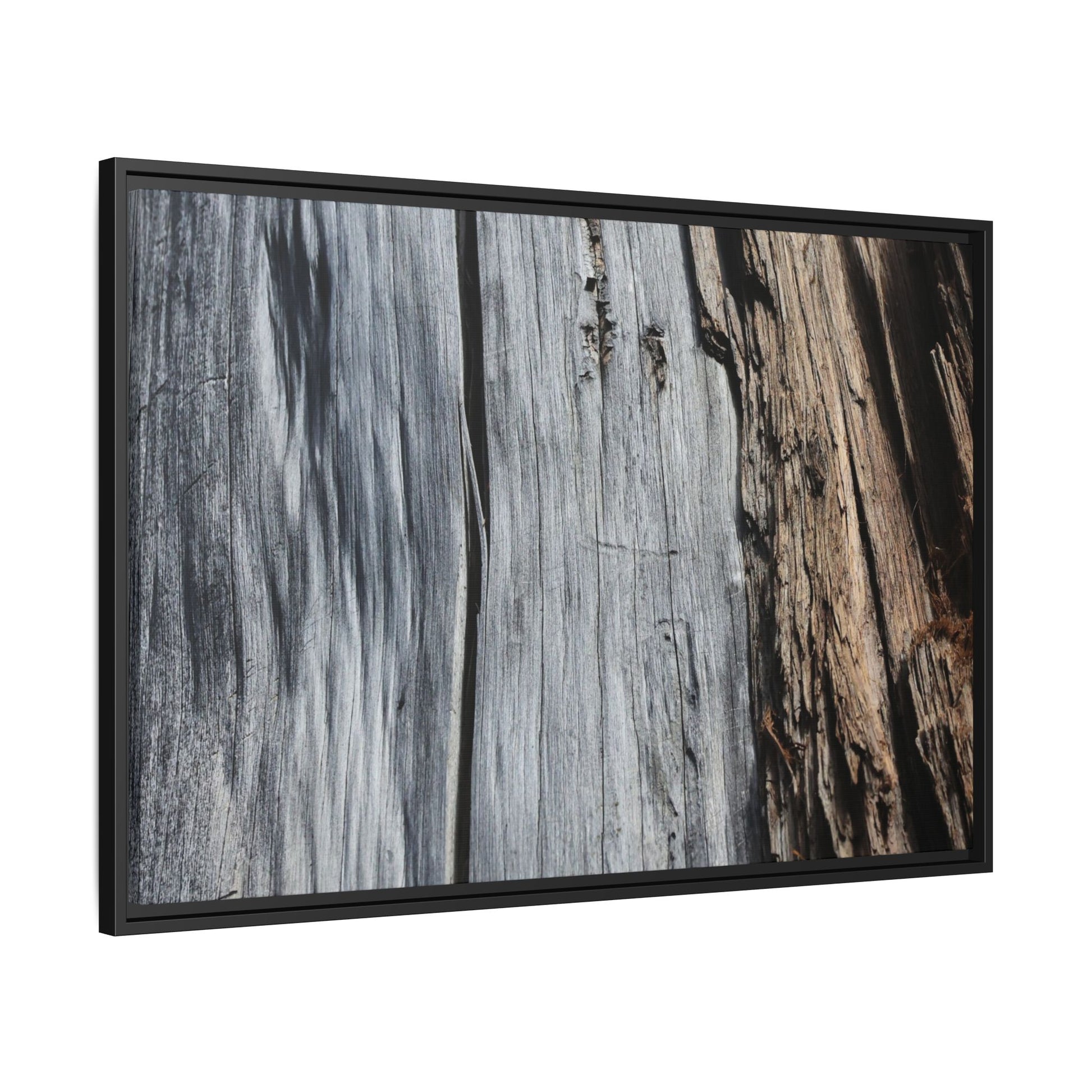 Wood's Lament - Unique Stretched Canvas Wall Art - Art By Earth