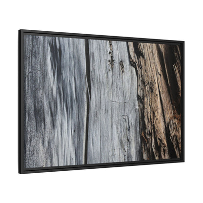 Wood's Lament - Unique Stretched Canvas Wall Art - Art By Earth