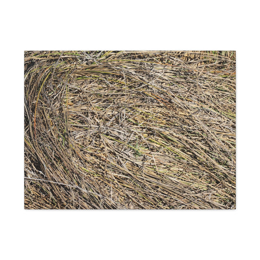Tangled Hay - Unique Stretched Canvas Wall Art - Art By Earth