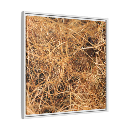 Dried Grass - Unique Stretched Canvas Wall Art - Art By Earth