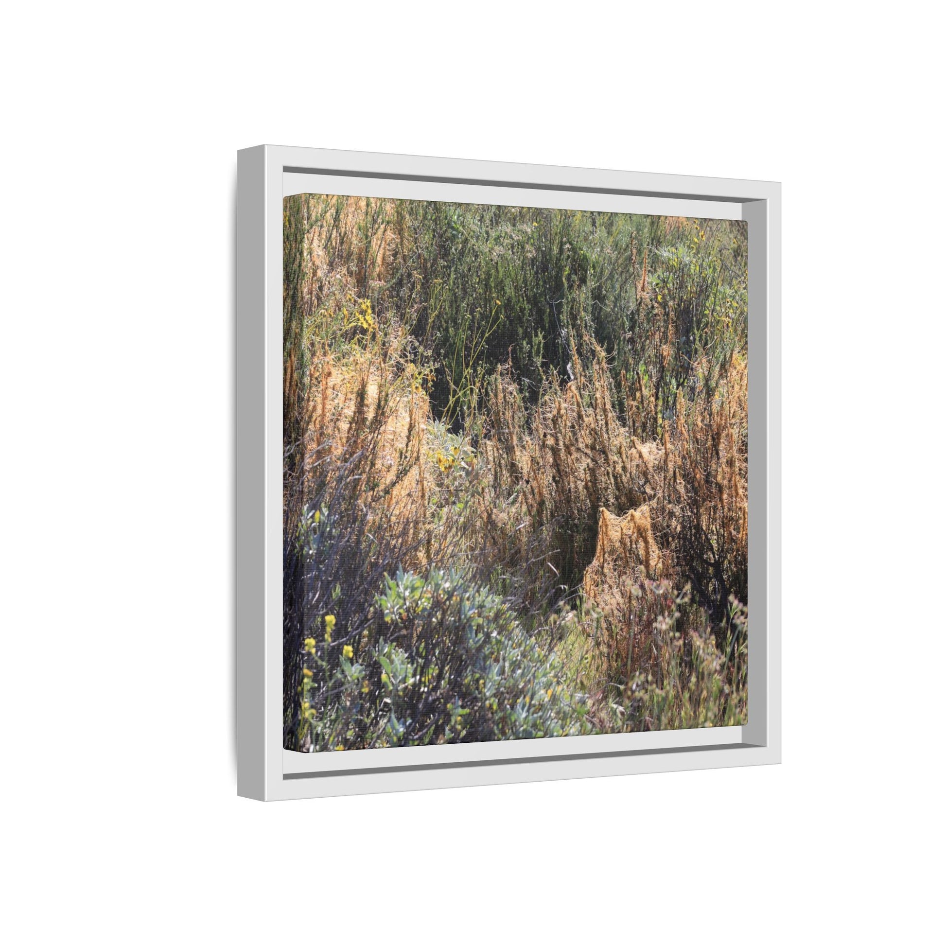 Drought-Stricken Landscape - Unique Stretched Canvas Wall Art - Art By Earth