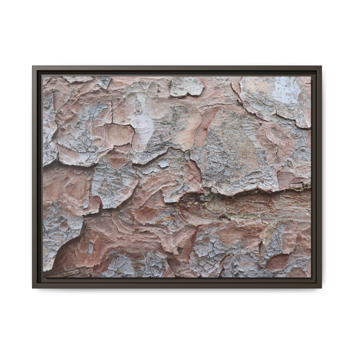 Flaking Serenity - Unique Stretched Canvas Wall Art - Art By Earth