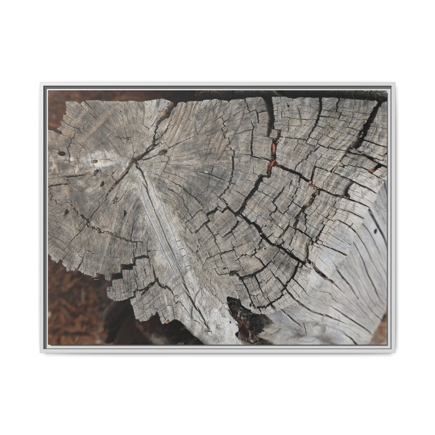 Time's Signature - Unique Stretched Canvas Wall Art - Art By Earth