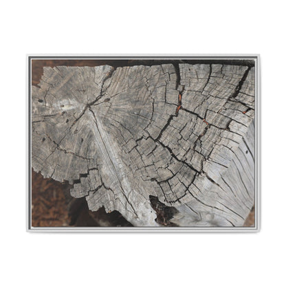 Time's Signature - Unique Stretched Canvas Wall Art - Art By Earth