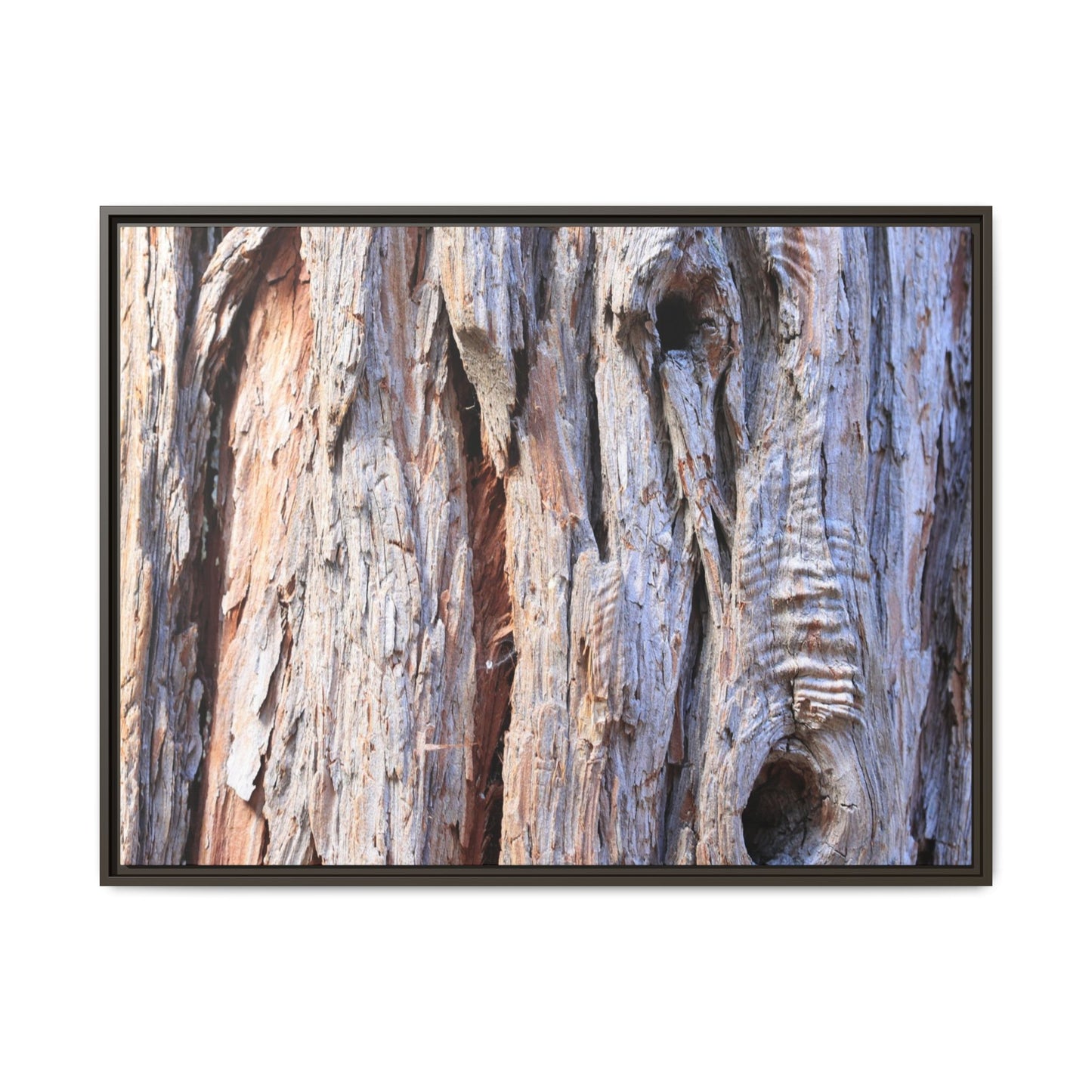 Nature's Grain - Unique Stretched Canvas Wall Art - Art By Earth