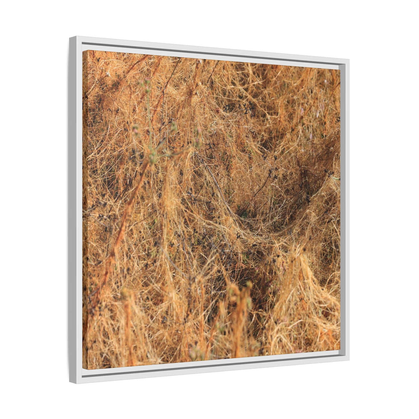 Dried Vegetation Study - Unique Stretched Canvas Wall Art - Art By Earth