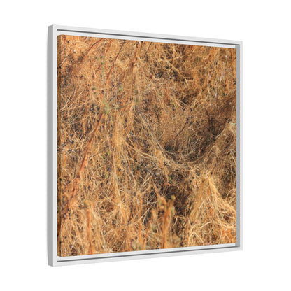 Dried Vegetation Study - Unique Stretched Canvas Wall Art - Art By Earth
