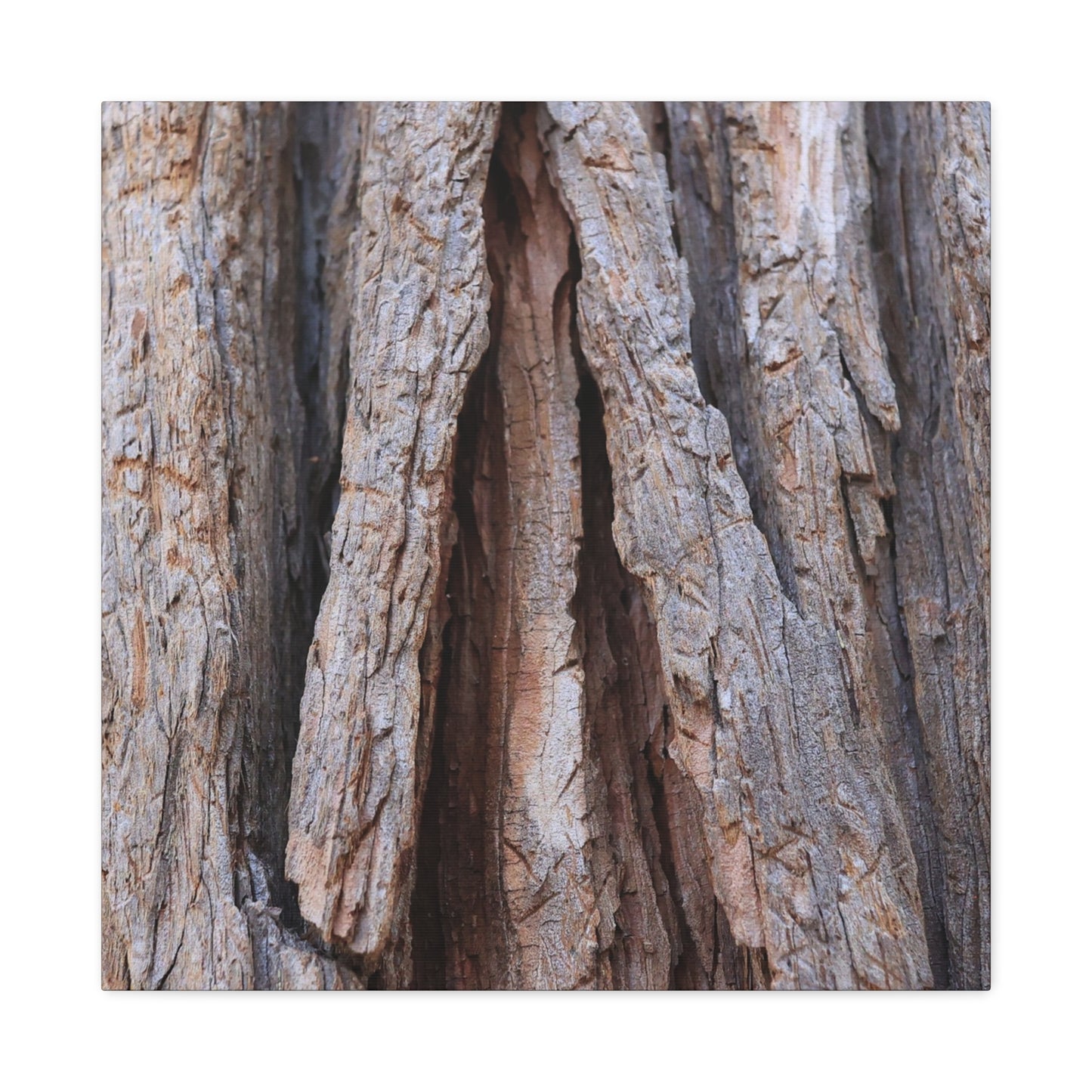 Fractured Skin of Time - Unique Frameless Canvas Wall Art - Art By Earth