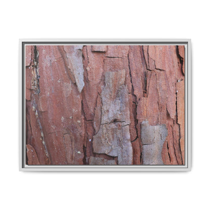 Peeling Bark - Unique Stretched Canvas Wall Art - Art By Earth