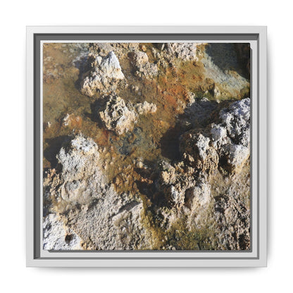 Textural Metamorphosis - Unique Stretched Canvas Wall Art