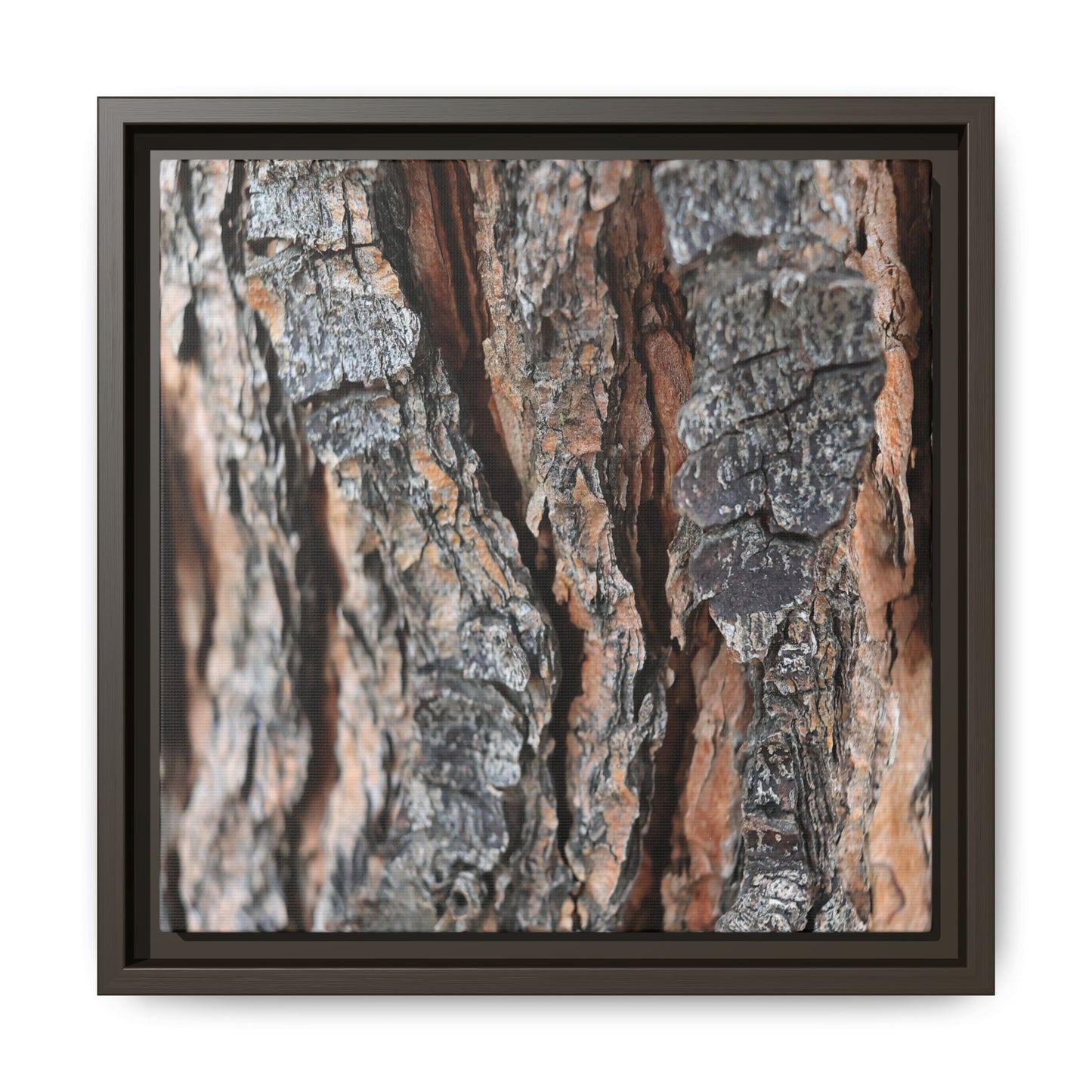 Fractured Nature - Unique Stretched Canvas Wall Art - Art By Earth