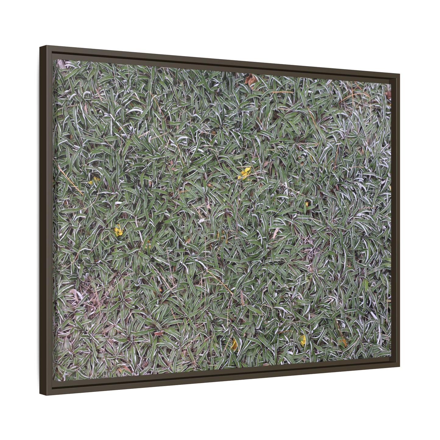 Grassy Texture - Unique Stretched Canvas Wall Art - Art By Earth
