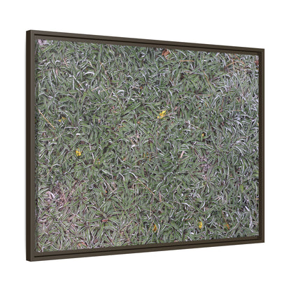 Grassy Texture - Unique Stretched Canvas Wall Art - Art By Earth
