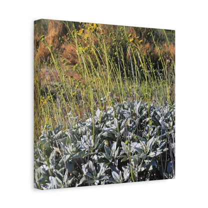 Desert Wildflowers in Bloom - Unique Frameless Canvas Wall Art - Art By Earth