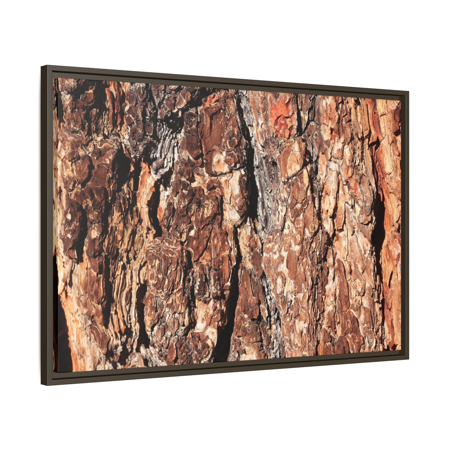 Nature's Rugged Canvas - Unique Stretched Canvas Wall Art