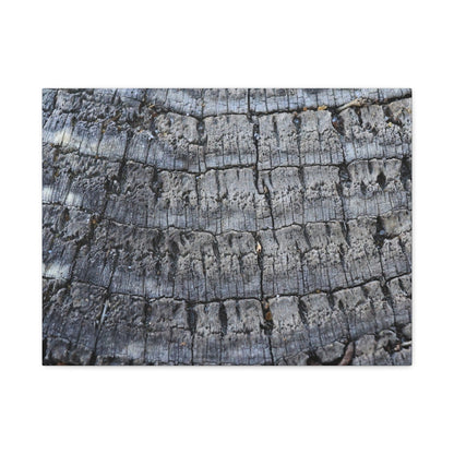 Whispers of Age - Unique Frameless Canvas Wall Art - Art By Earth