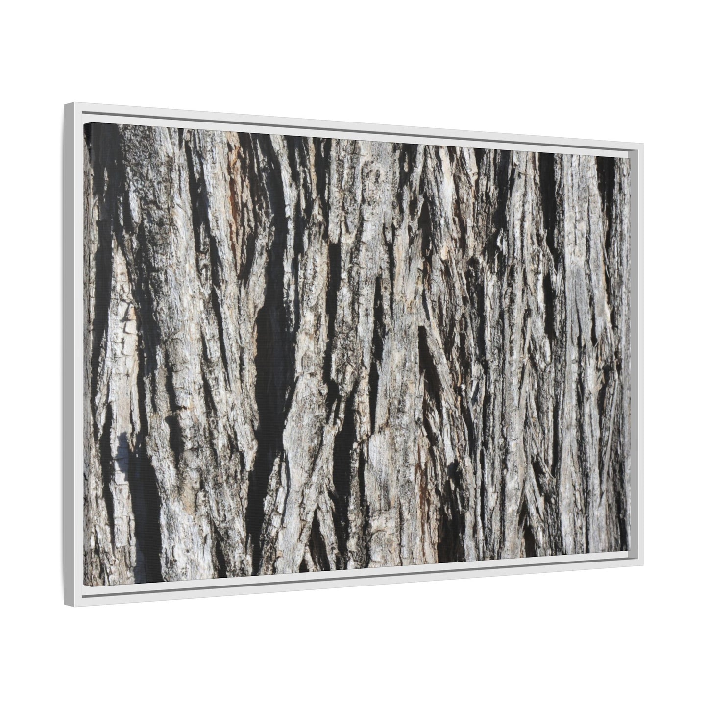 Nature's Abstract - Unique Stretched Canvas Wall Art - Art By Earth