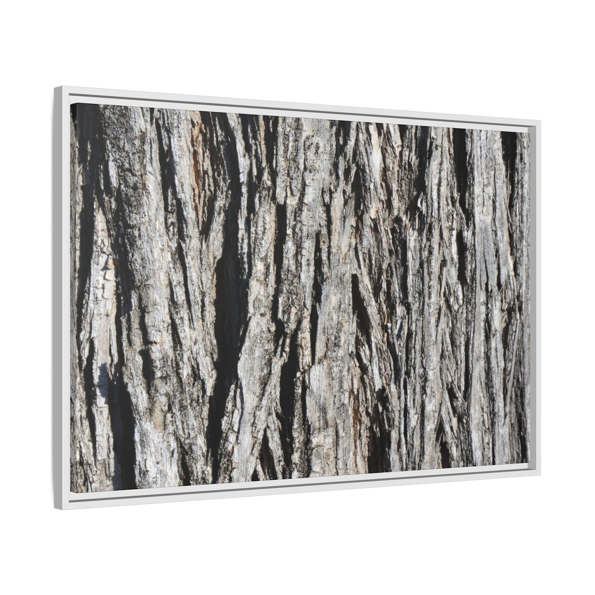 Nature's Abstract - Unique Stretched Canvas Wall Art - Art By Earth