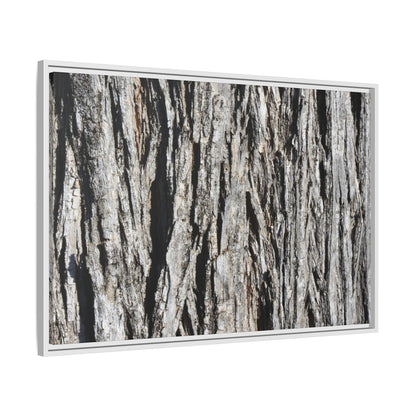 Nature's Abstract - Unique Stretched Canvas Wall Art - Art By Earth