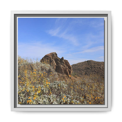 Golden Flowers in Arid Landscape - Unique Stretched Canvas Wall Art - Art By Earth