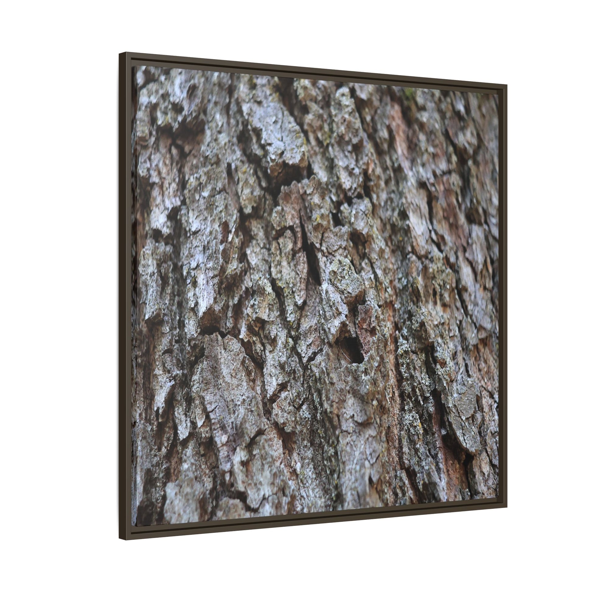 Woodland Canvas - Unique Stretched Canvas Wall Art - Art By Earth