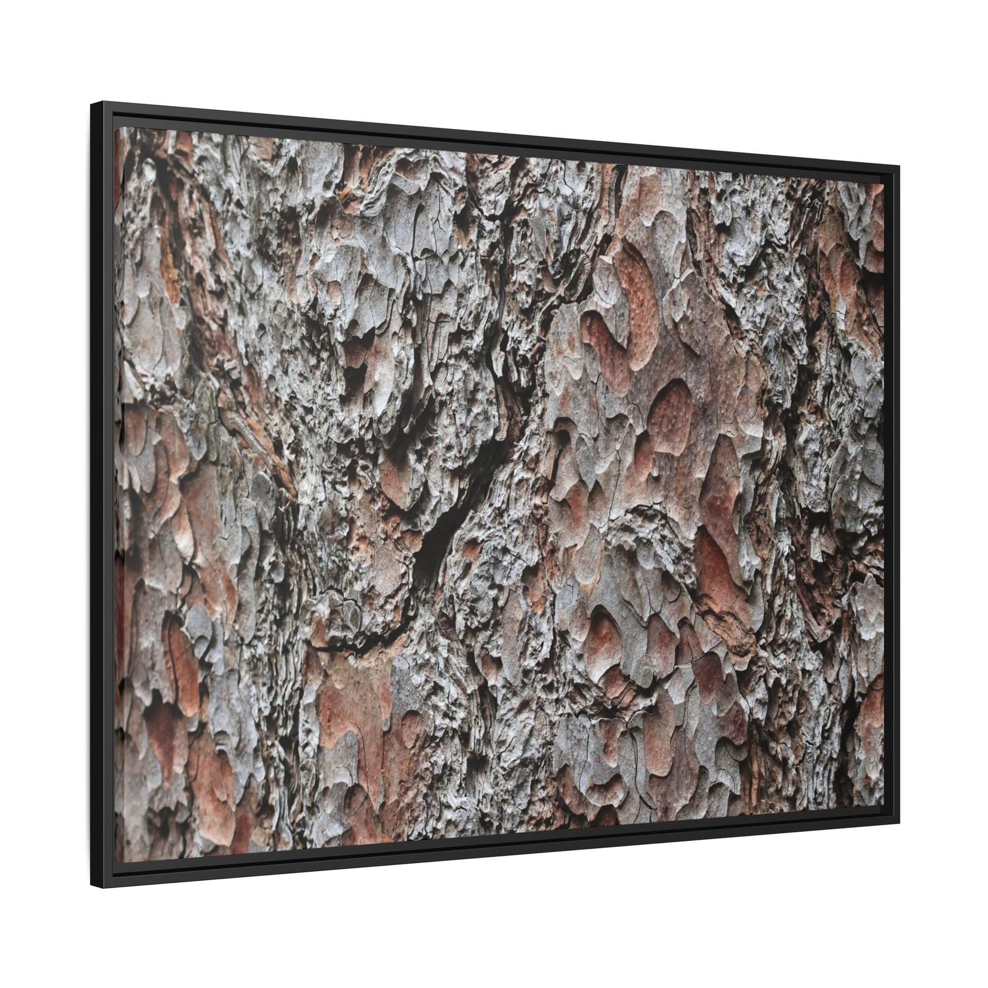 Bark Texture Symphony - Unique Stretched Canvas Wall Art - Art By Earth