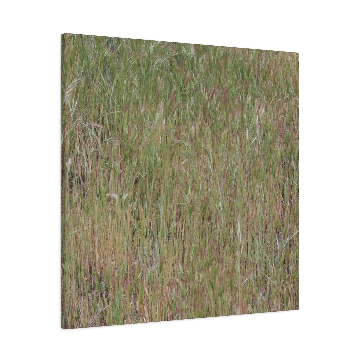Whispers of the Prairie - Unique Frameless Canvas Wall Art - Art By Earth