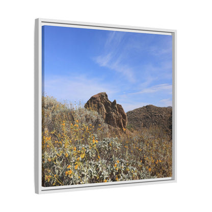 Golden Flowers in Arid Landscape - Unique Stretched Canvas Wall Art - Art By Earth
