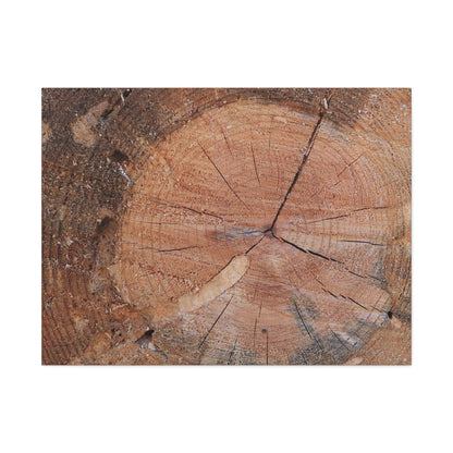 Timber Tale - Unique Frameless Canvas Wall Art - Art By Earth