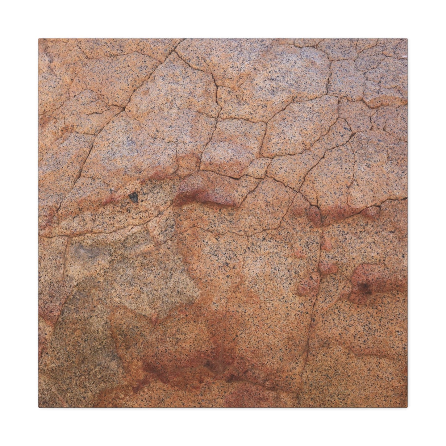 Cracked Earth's Whisper - Unique Frameless Canvas Wall Art - Art By Earth