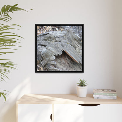 Driftwood Dreams - Unique Stretched Canvas Wall Art - Art By Earth