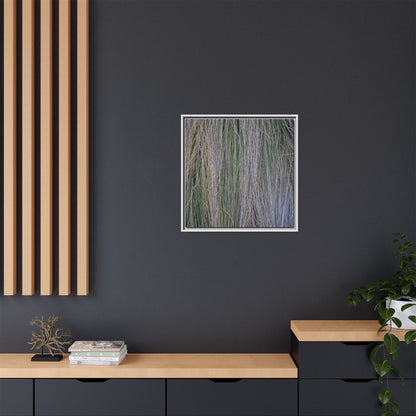 Whispers of Silver Grass - Unique Stretched Canvas Wall Art - Art By Earth