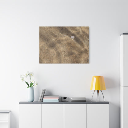 Sandy Shore Impressions - Unique Frameless Canvas Wall Art - Art By Earth
