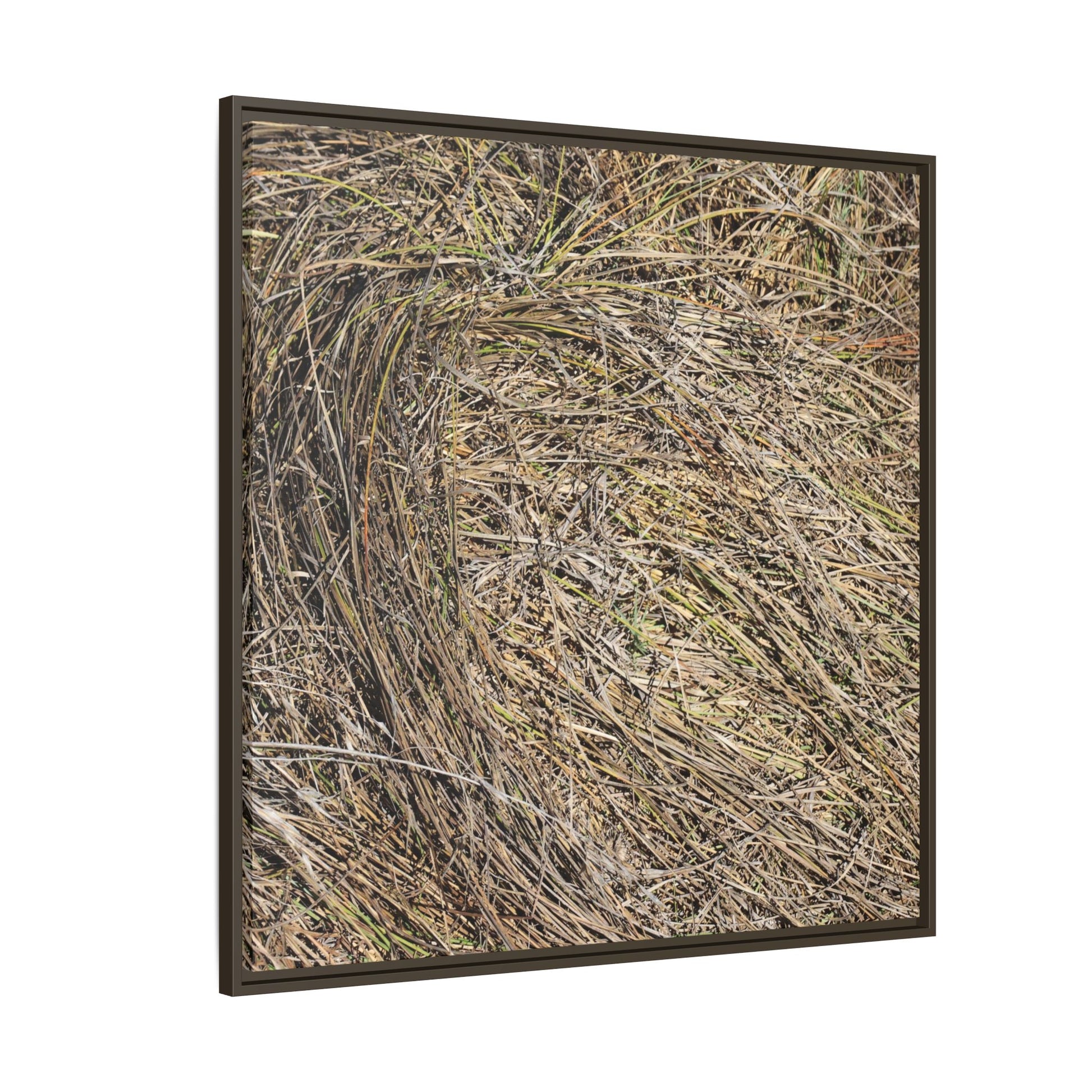Tangled Grass Symphony - Unique Stretched Canvas Wall Art - Art By Earth