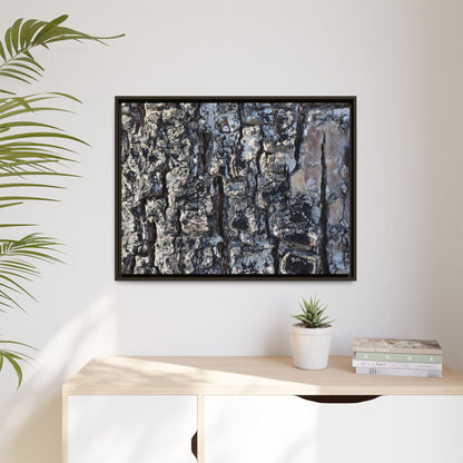 The Bark Chronicles - Unique Stretched Canvas Wall Art - Art By Earth