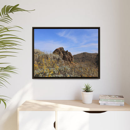 Golden Flowers in Arid Landscape - Unique Stretched Canvas Wall Art - Art By Earth