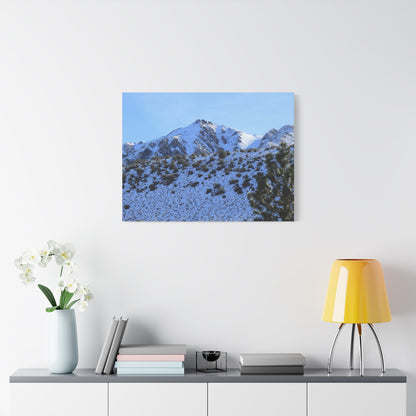 Snowy Peaks and Stoic Pines - Unique Frameless Canvas Wall Art