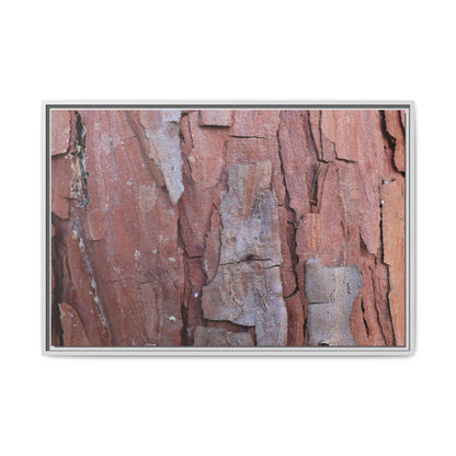 Peeling Bark - Unique Stretched Canvas Wall Art - Art By Earth