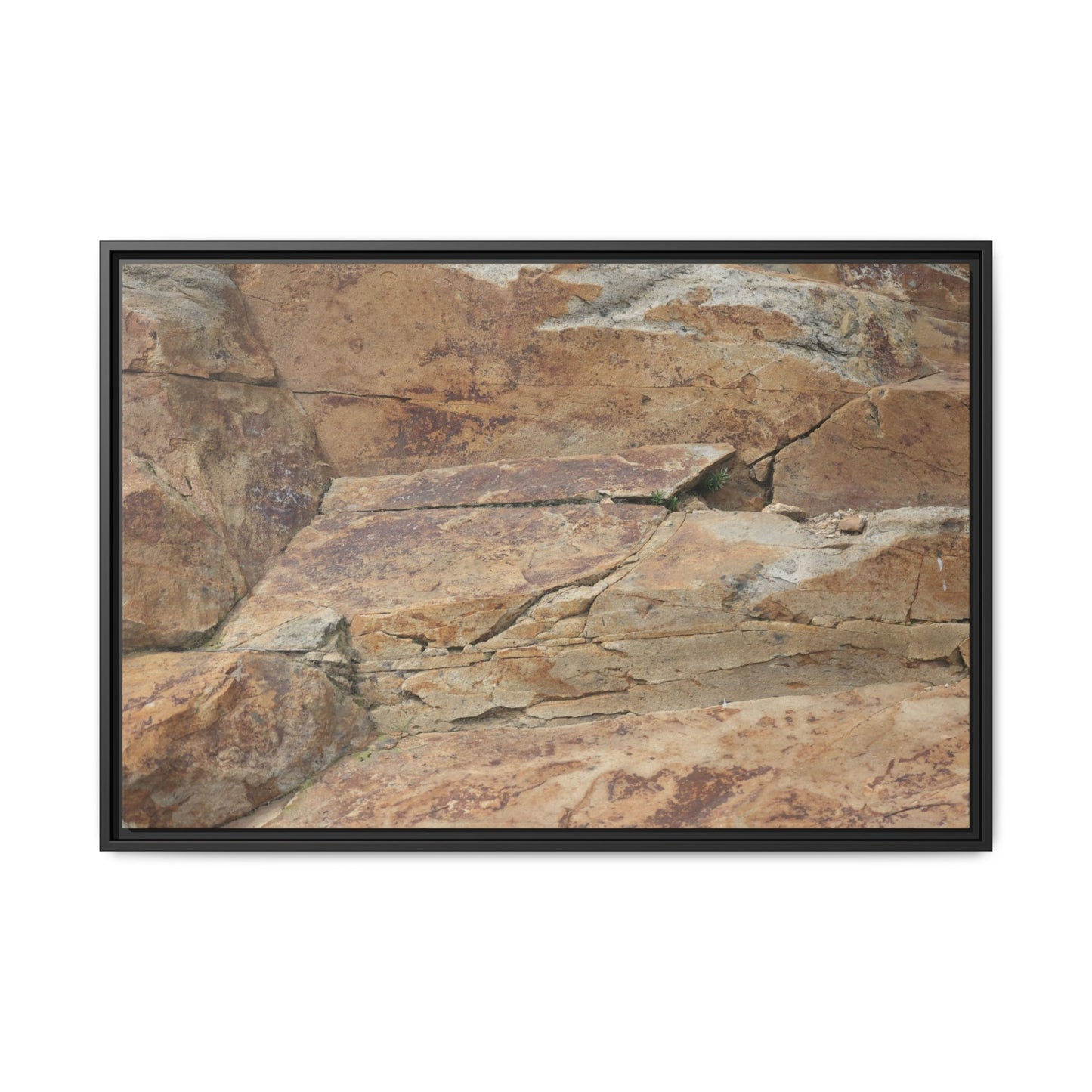 Ancient Foundations - Unique Stretched Canvas Wall Art - Art By Earth