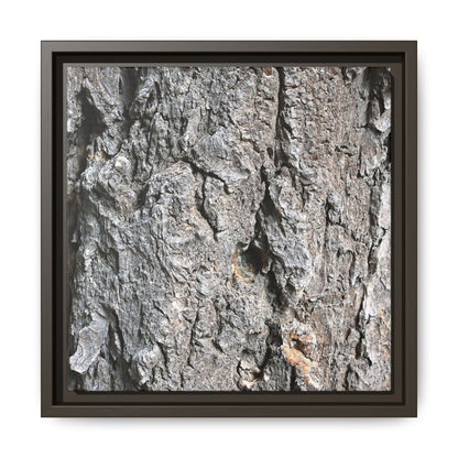 Crusty Exterior - Unique Stretched Canvas Wall Art - Art By Earth